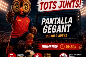 Pantalla gegant per veure el partit de la Final de la Copa del Món entre Espanya i Argentina.