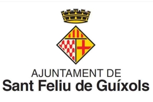 Ple Municipal Extraordinari i Urgent (15/09/2026)